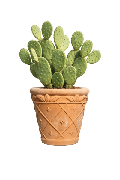 Massiver Terracottatopf aus Impruneta mit Ananasblatt-Dekor